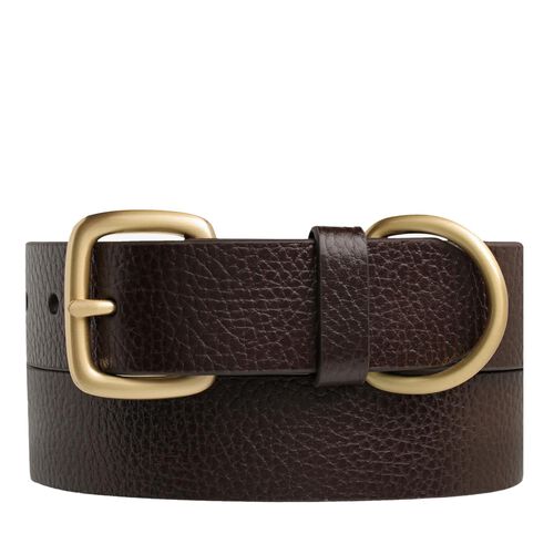 Status Anxiety Disarm Belt